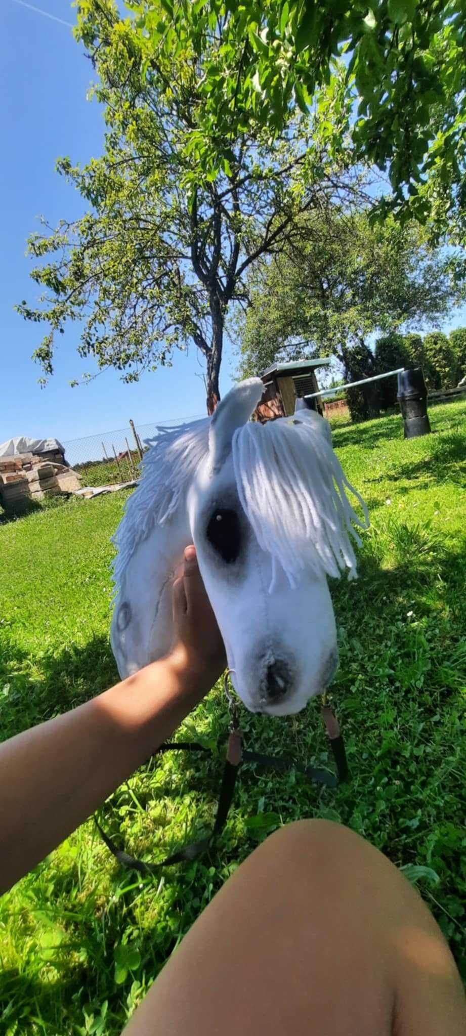 Hobby horse popuralne