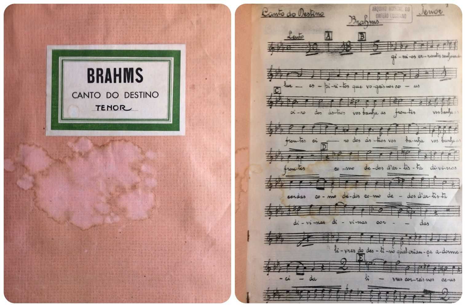 Brahms. Canto do Destino. Para tenor