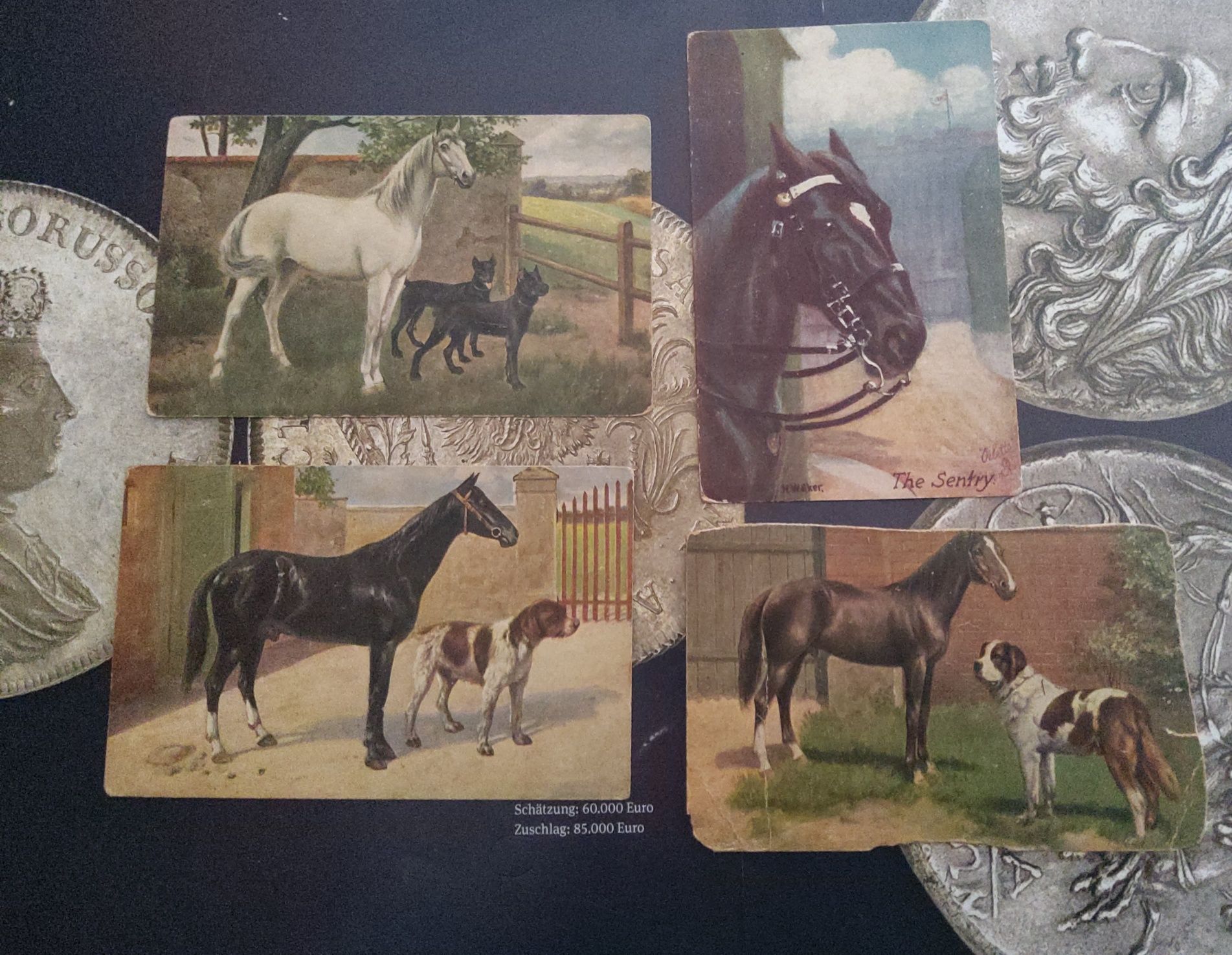 29424#Lote 4 postais antigos (Tema Cavalos)Tuck's post card