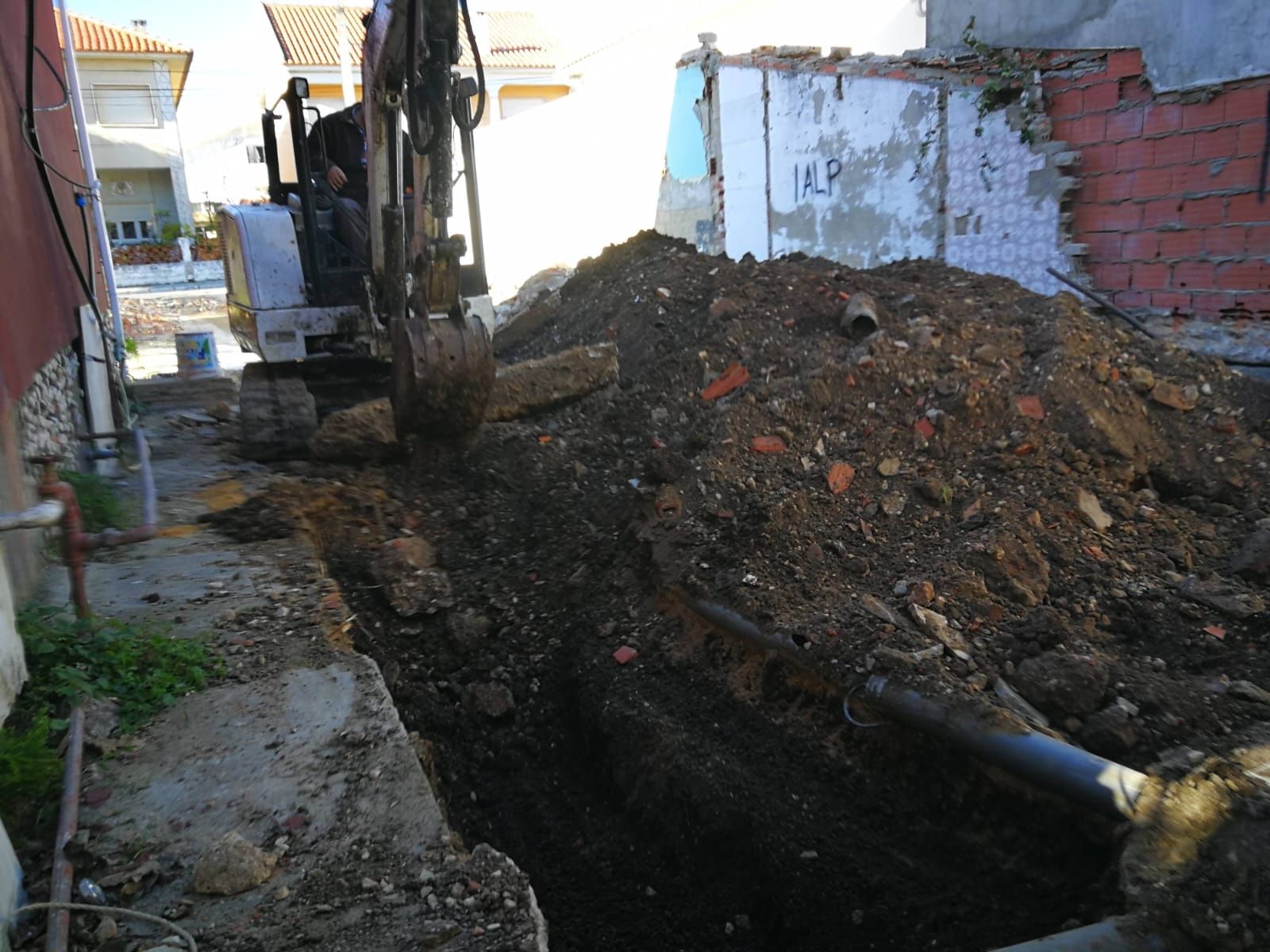 Demolição e limpeza de terreno, cortes e pode de árvores