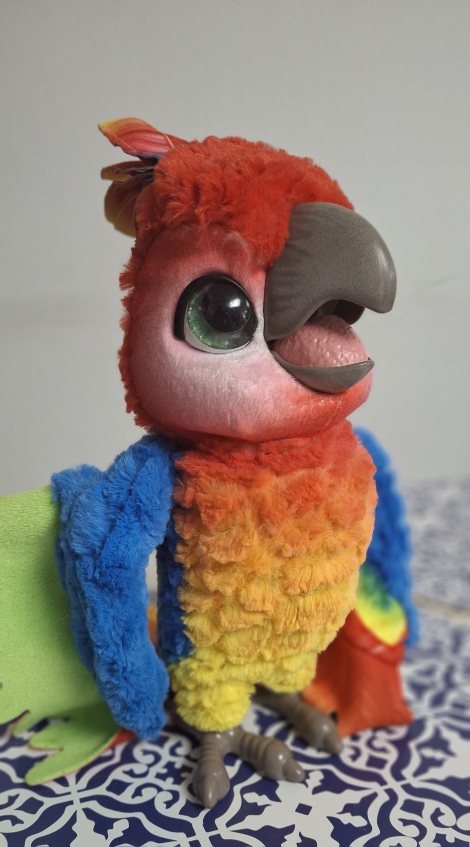 Papuga furreal Marcin