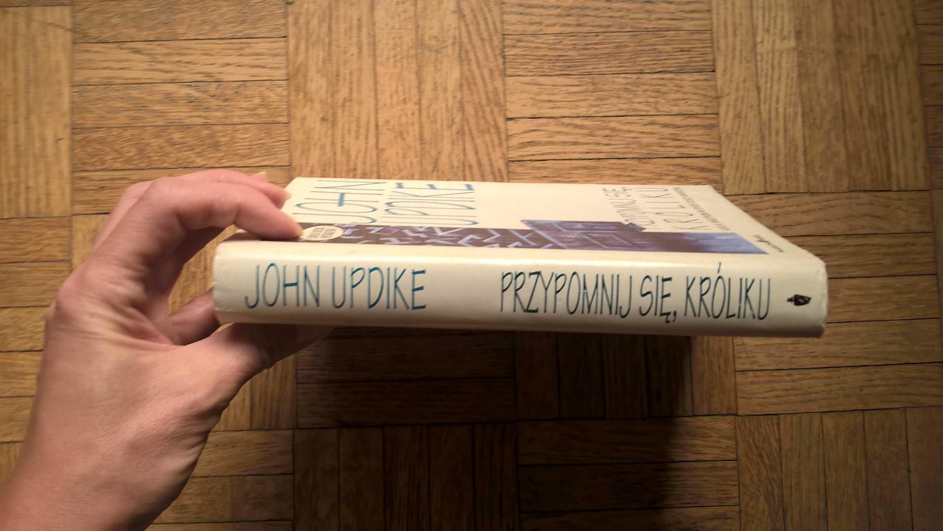 Przypomnij się, Króliku, John Updike