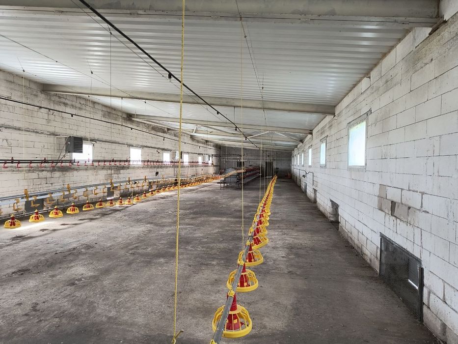 Ферма для вирощування птиці.