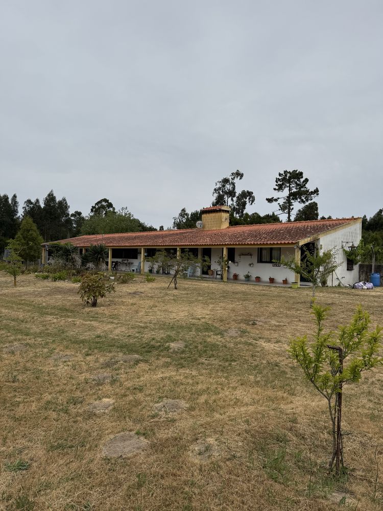 Quinta no Centro de Mira com 10.000 m² – Oportunidade Única!