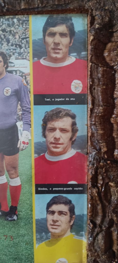 Quadro do Benfica Campeao 53 anos