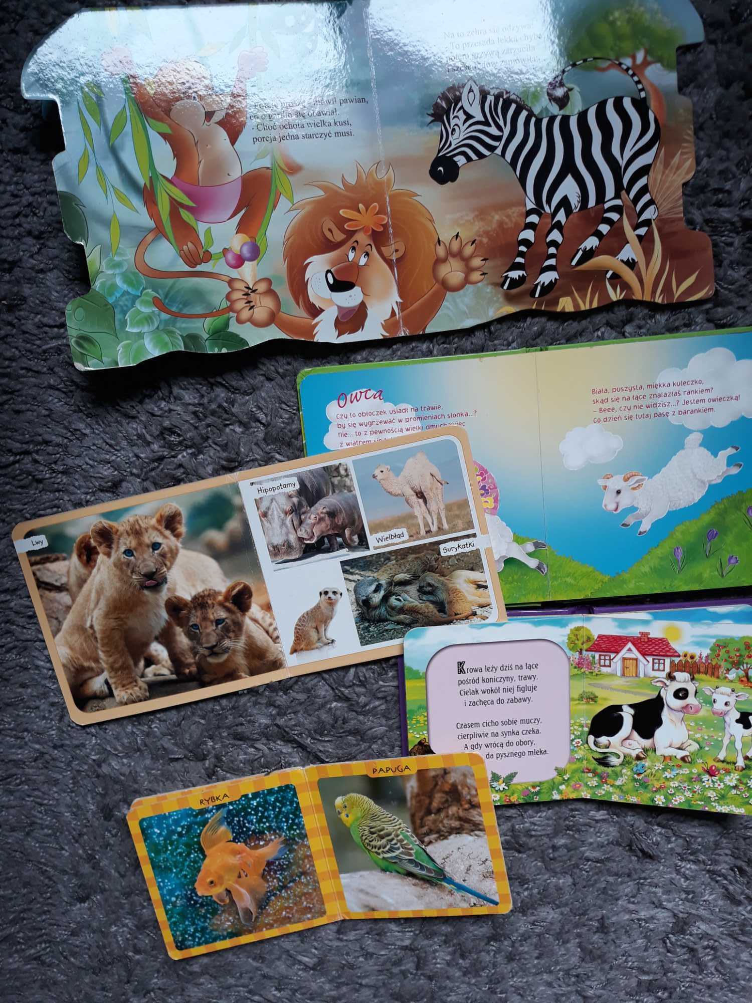 5 x książeczki o zwierzętach / używane