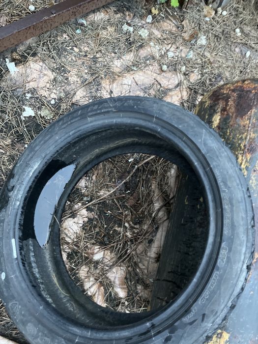 Продаж резини R17