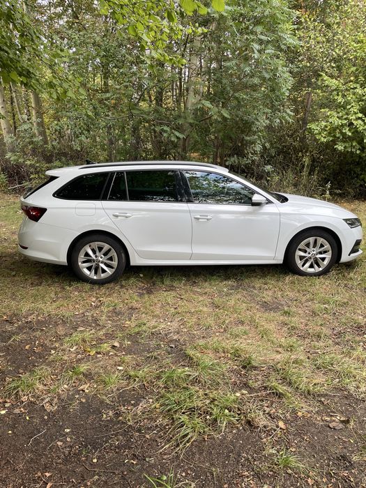 Skoda Octavia p. salon bezwypadkowa 1 wł bogata opcja po w . Rozrzadu