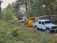 Wycinka, podcinka drzew, rebkowanie, frezowanie pni