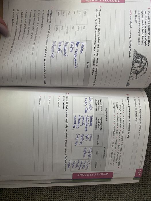 Język polski 8 zeszyt ćwiczeń