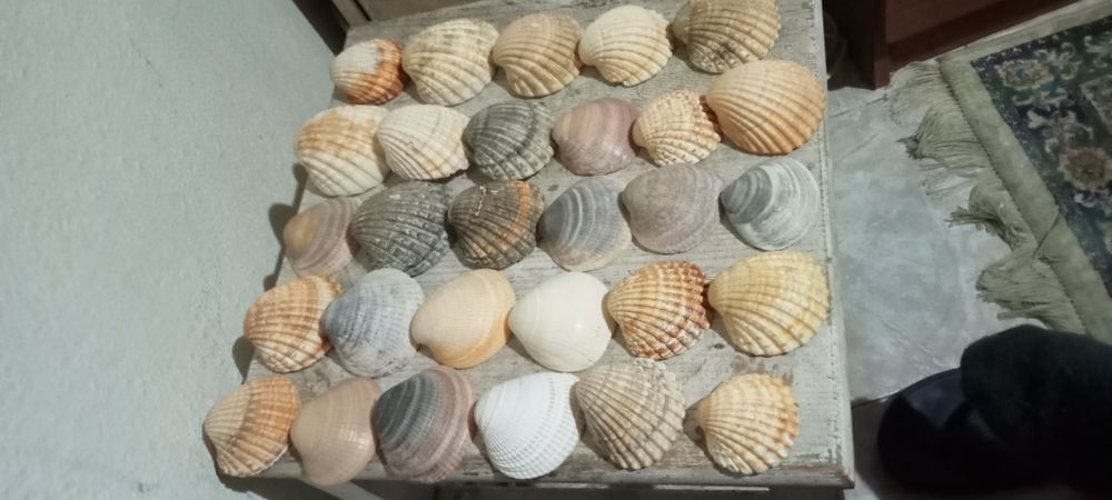 Artigos para desocupar