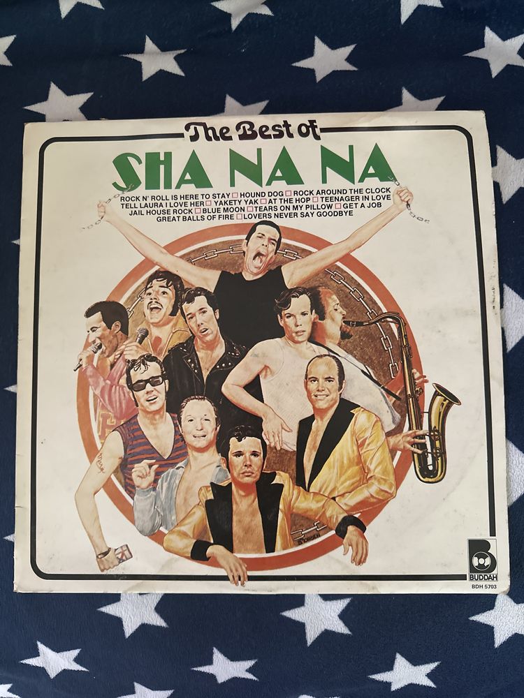 Disco Vinil The Best of Sha Na Na