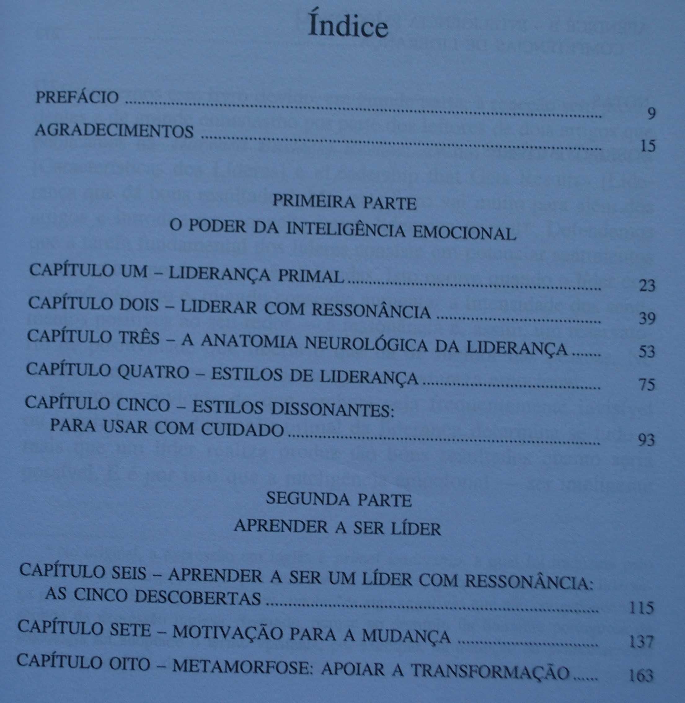 Os Novos Líderes (A Inteligência Emocional Nas Organizações)