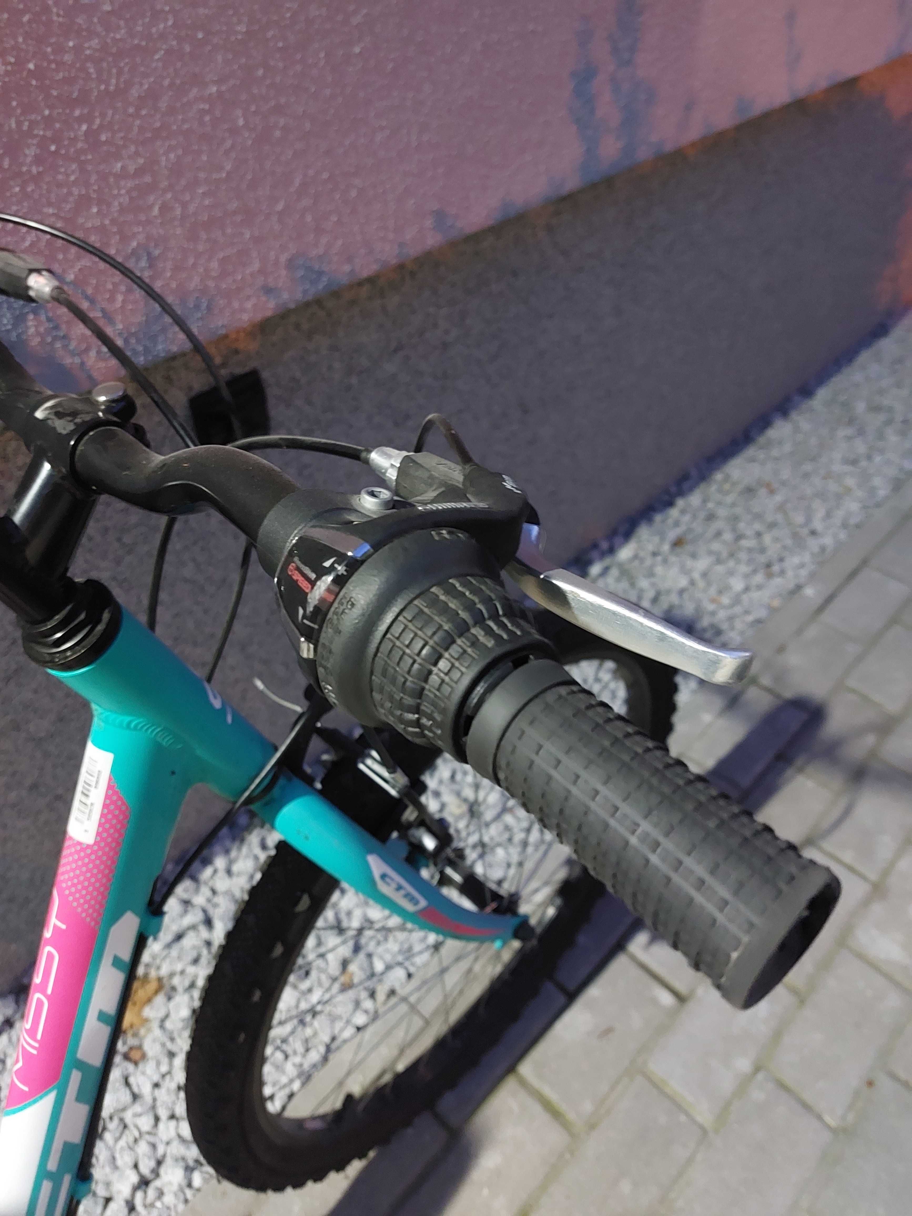 Rower dziewczęcy CTM Missy 24"