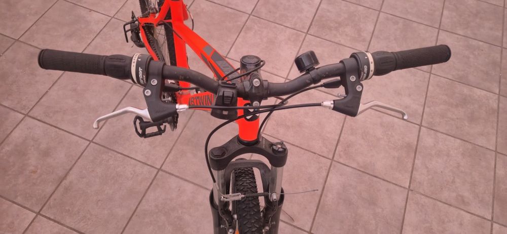 Bicicleta adulto