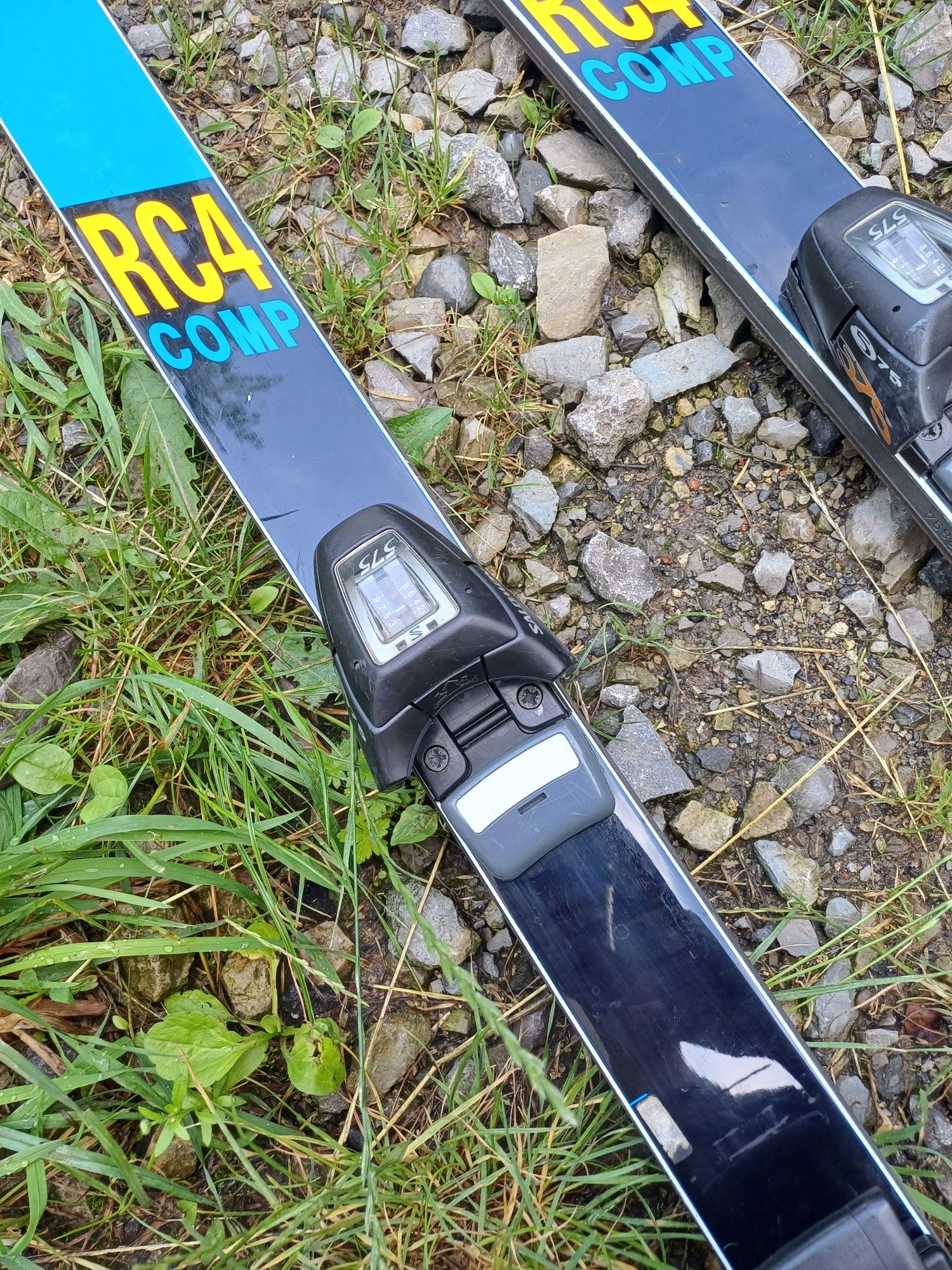 Гірські лижі Fischer RC4
