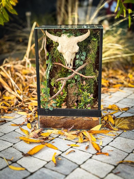 Terrarium tropikalne 25x25x40cm z wystrojem