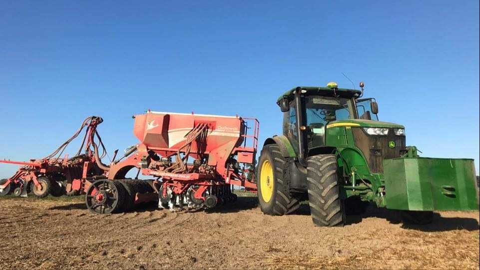 Usługi siewu rzepak.Siew pasowy Czajkowski ST600, strip-till