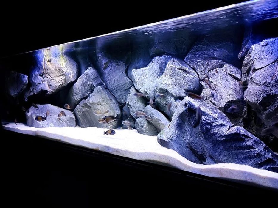 Tlo do akwarium  120x50,150x60,200x50 ,250x60