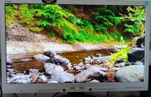Монитор Philips Brilliance 241P. Прекрасная модель.