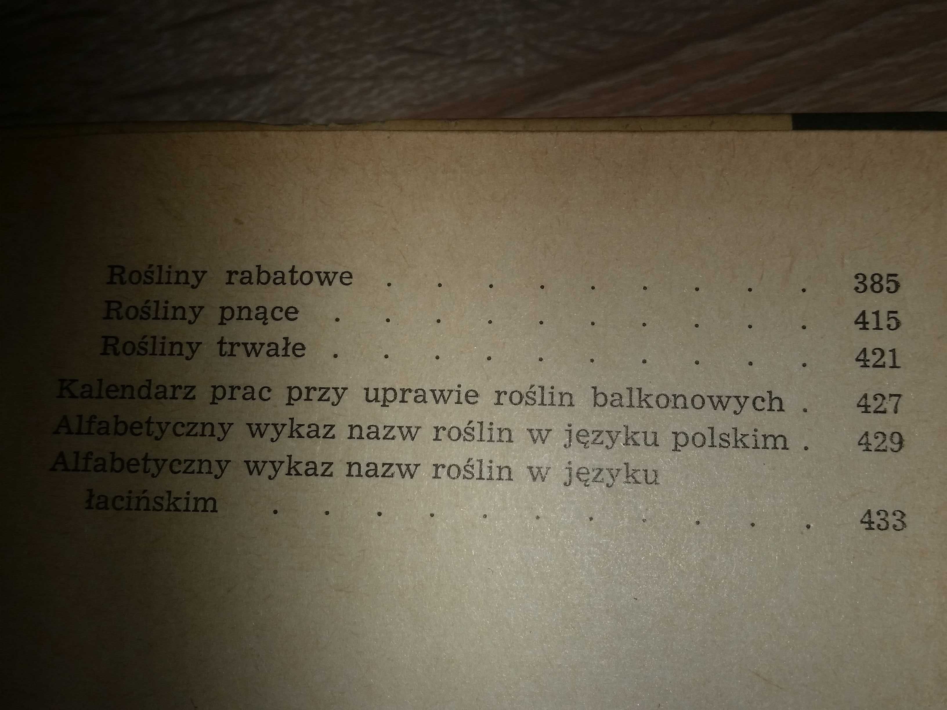 Rośliny ozdobne w mieszkaniu i na balkonie Izabela Kiljańska