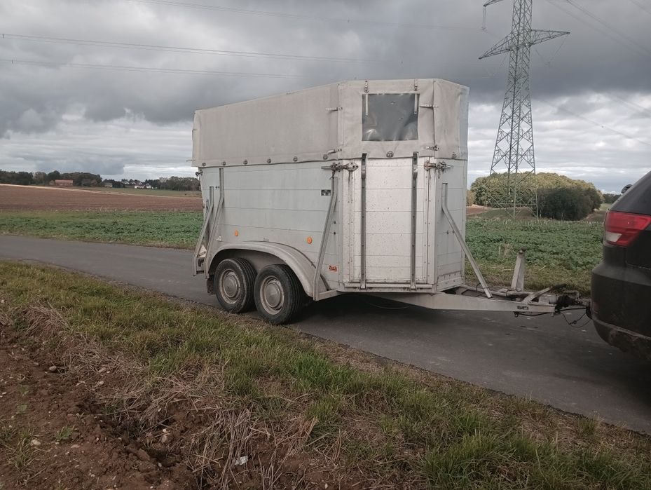 Przyczepka do przewozu bydła koni zwierząt aluminiowa