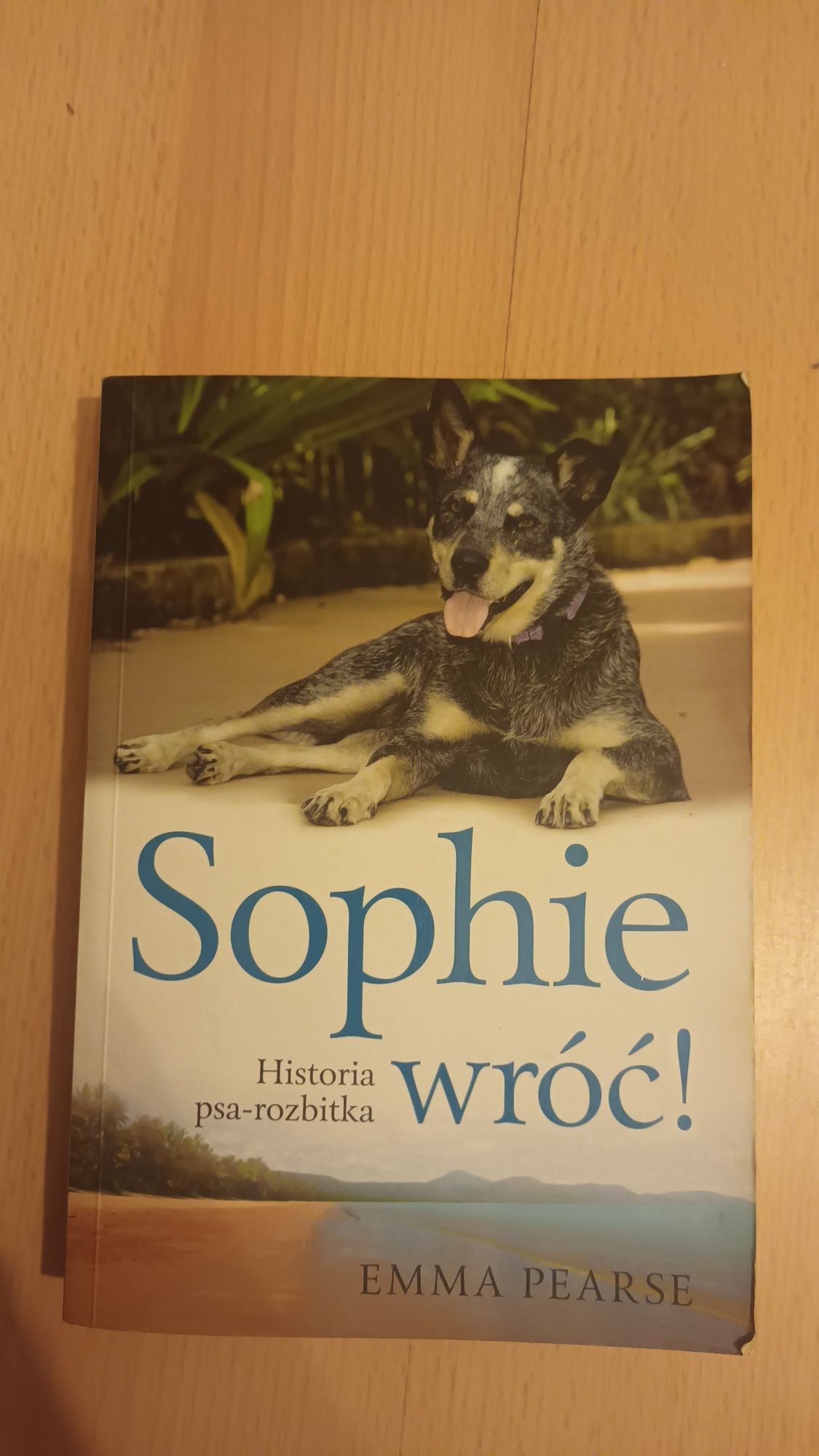 Sophie wróć! historia psa-rozbitka Emma pearse książka dla młodzieży