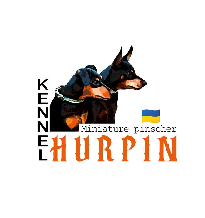 Щенки цвергпинчера! Питомник!