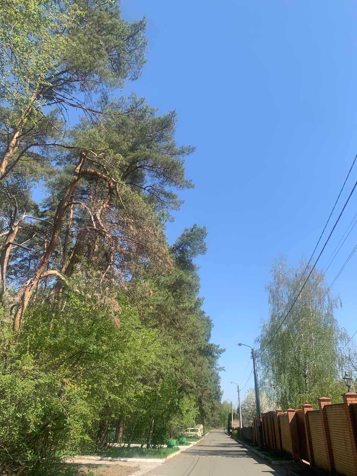 Продам  ділянку біля лісу   Петропавлівська Борщагівка