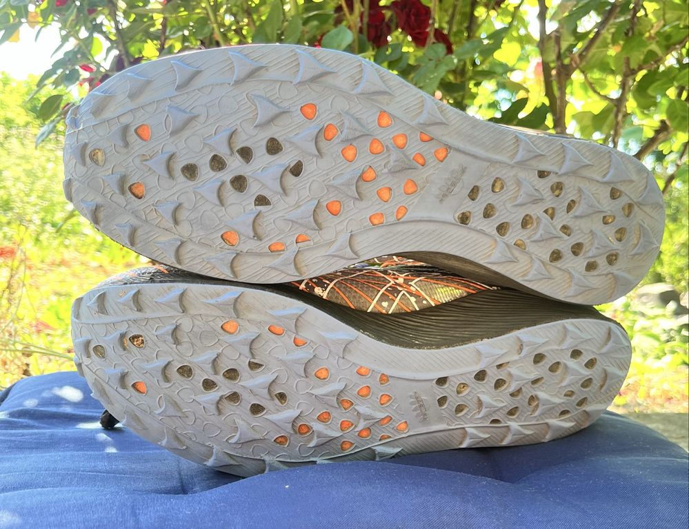ASICS Fuji Speed Оригінал