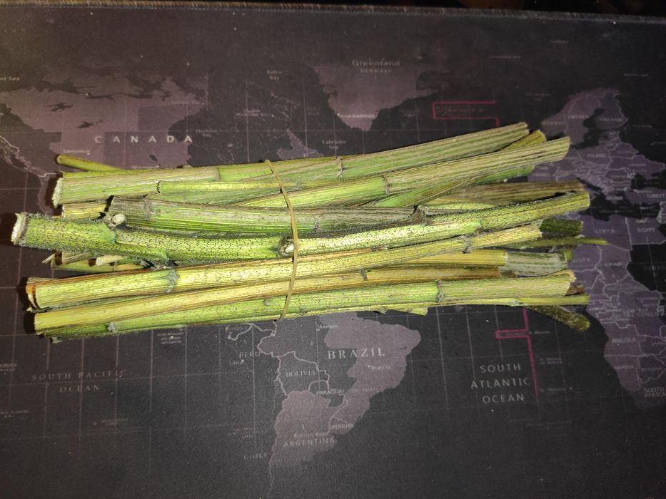 Łodyga topinamburu suszona

- Naturalny i smaczny gryzak do ścierania