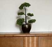 Piękne sztuczne drzewko BONSAI