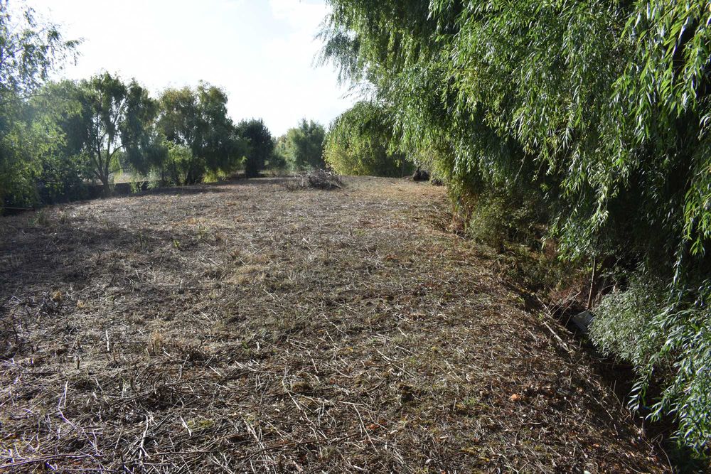 Quintinha junto ao rio Almonda