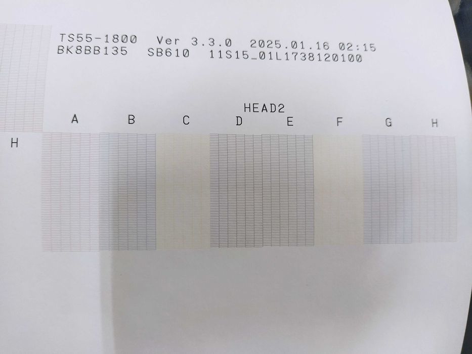 Impressora Mimaki TS55-1800 Sublimação