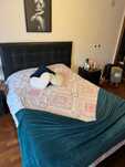 Pack Sommier  e cabeceira 160x200