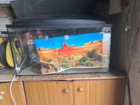 Akwarium 112l i 60l