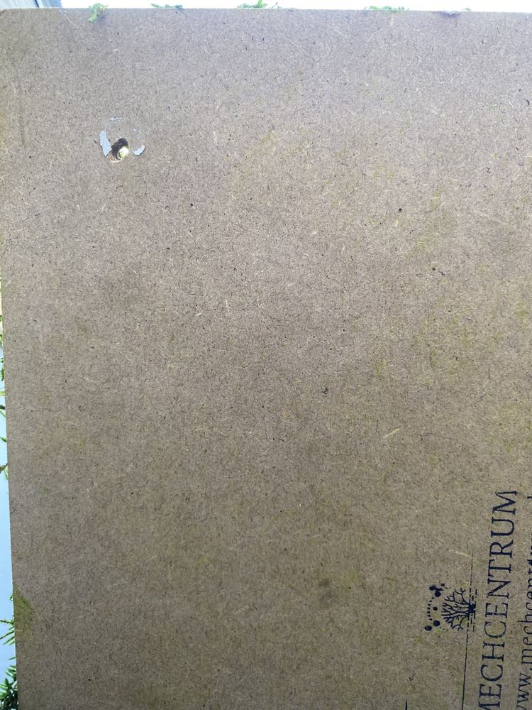 Cztery dekoracyjne Panele z mchu płaskiego na ściane