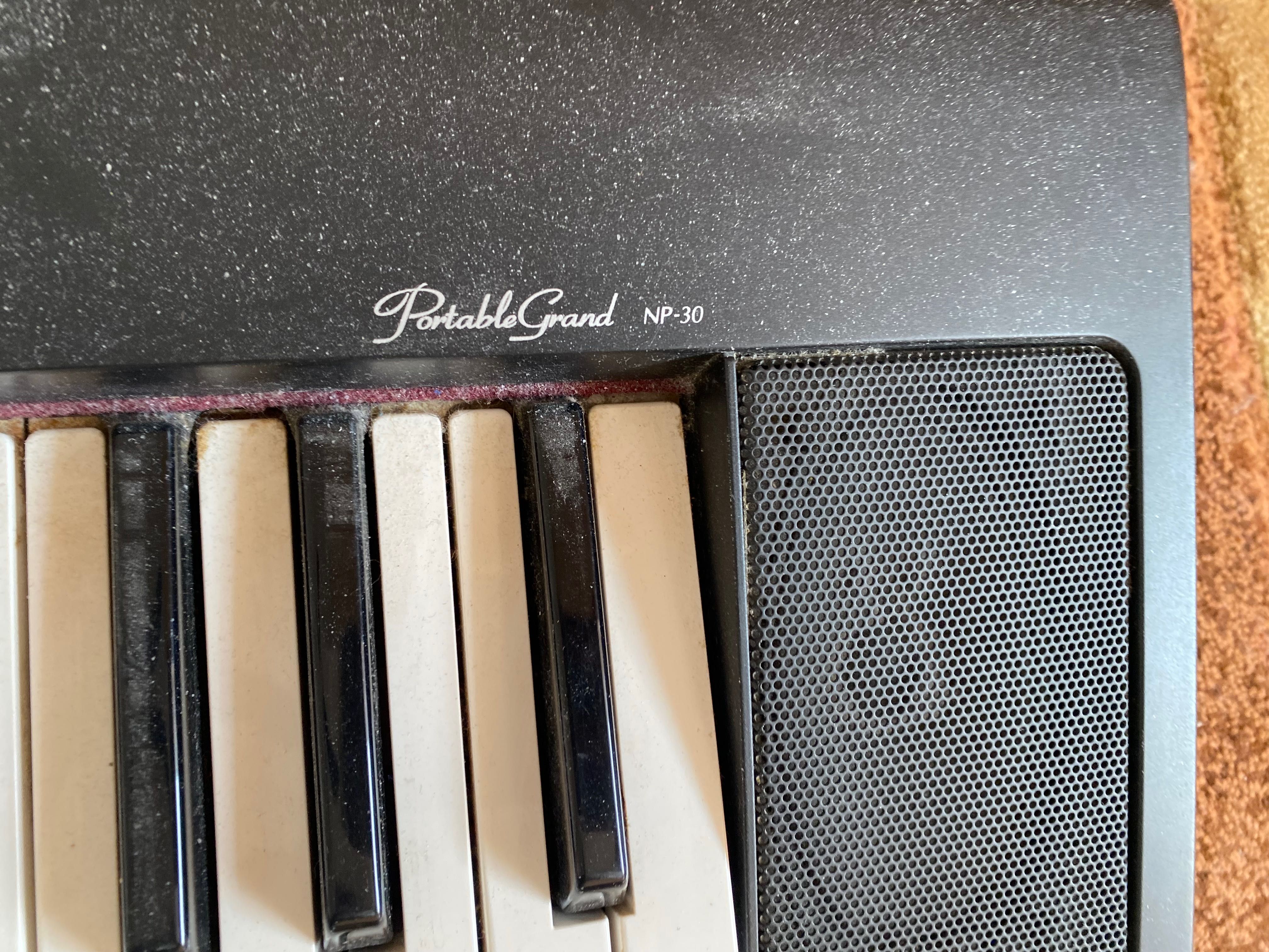 Yamaha - Portable Grand NP-30
