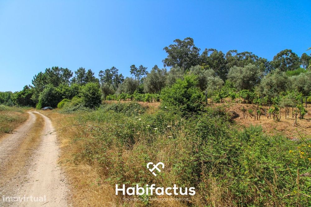 Quinta com Vinha e Potencial de Habitação em Sabugosa – Tondela