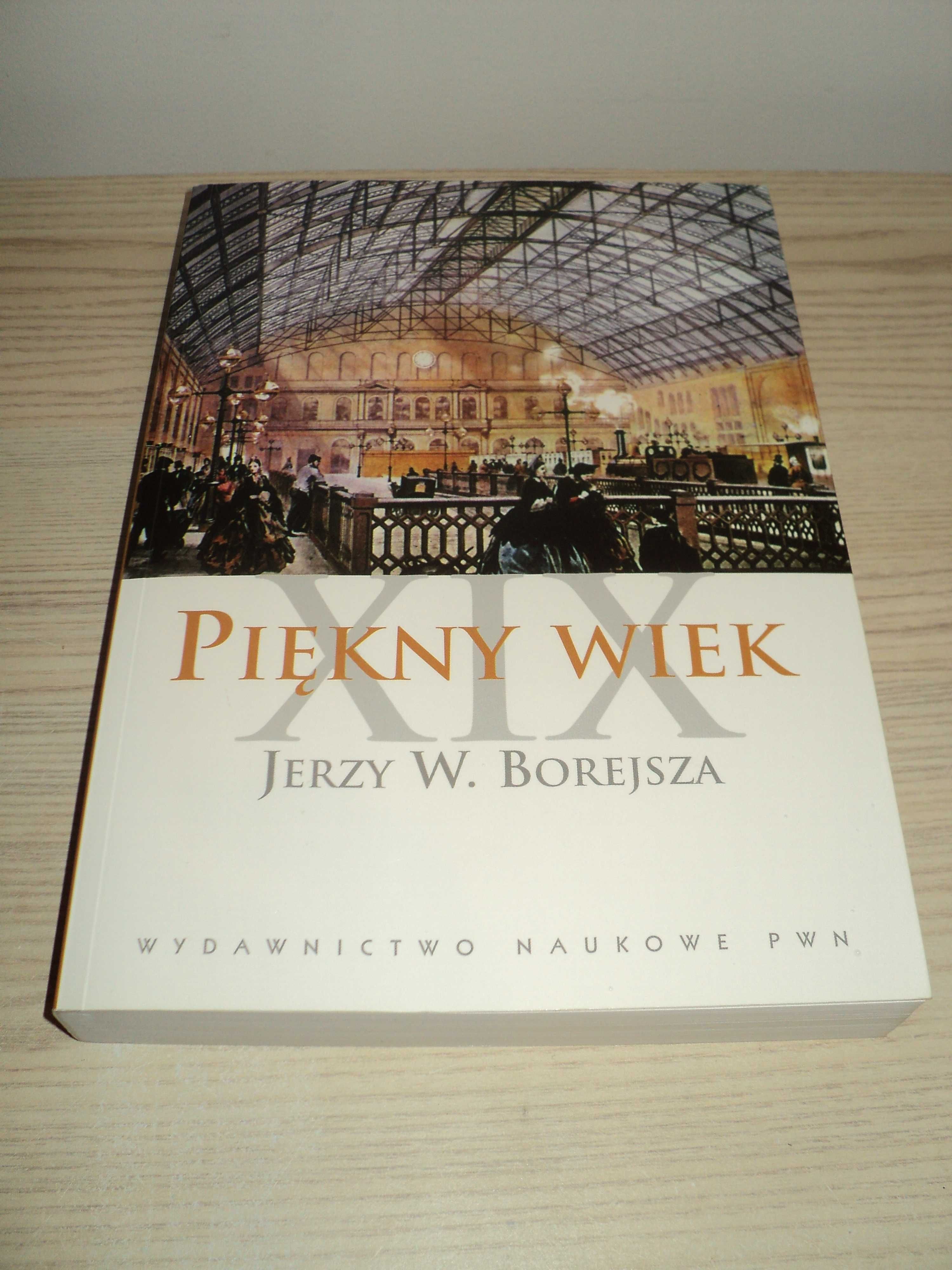 Piękny wiek XIX Jerzy W. Borejsza wyd. PWN Nowe wydanie