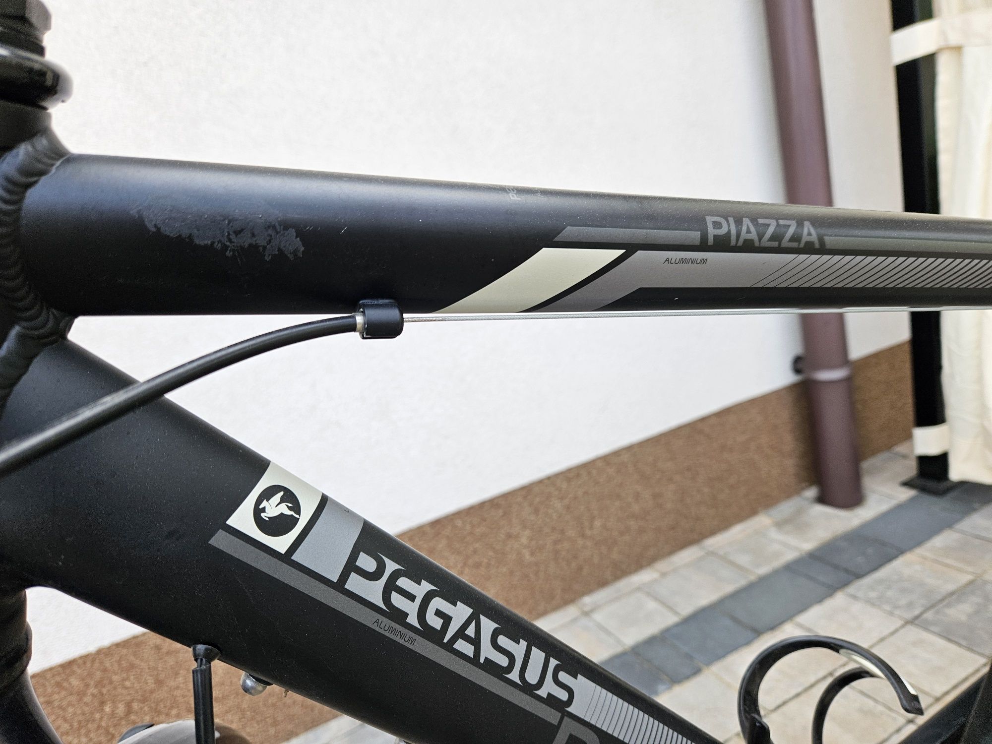 Pegasus Piazza 28 alu trekking