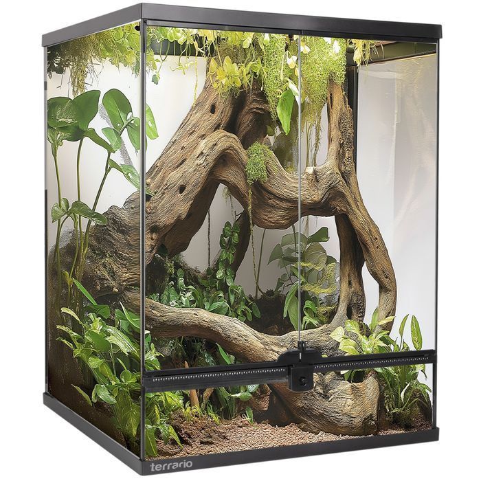Terrario Oasis Verde 30 - Terrarium 45X45X60 Z Zestawem