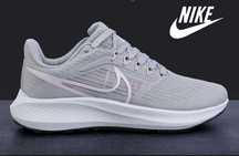 Nike zoom Pegasus
