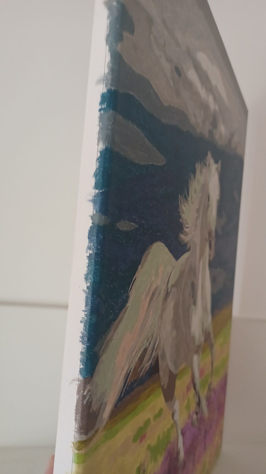 Quadros pintados à mão  40x50 cm