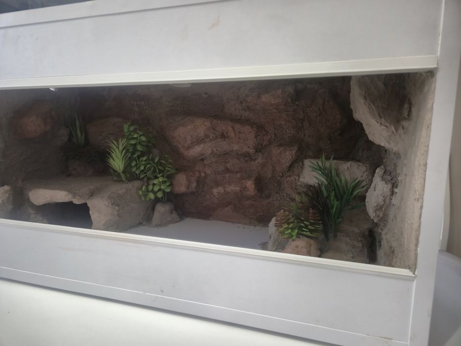 Nowe Gotowe Terrarium 80x40x40