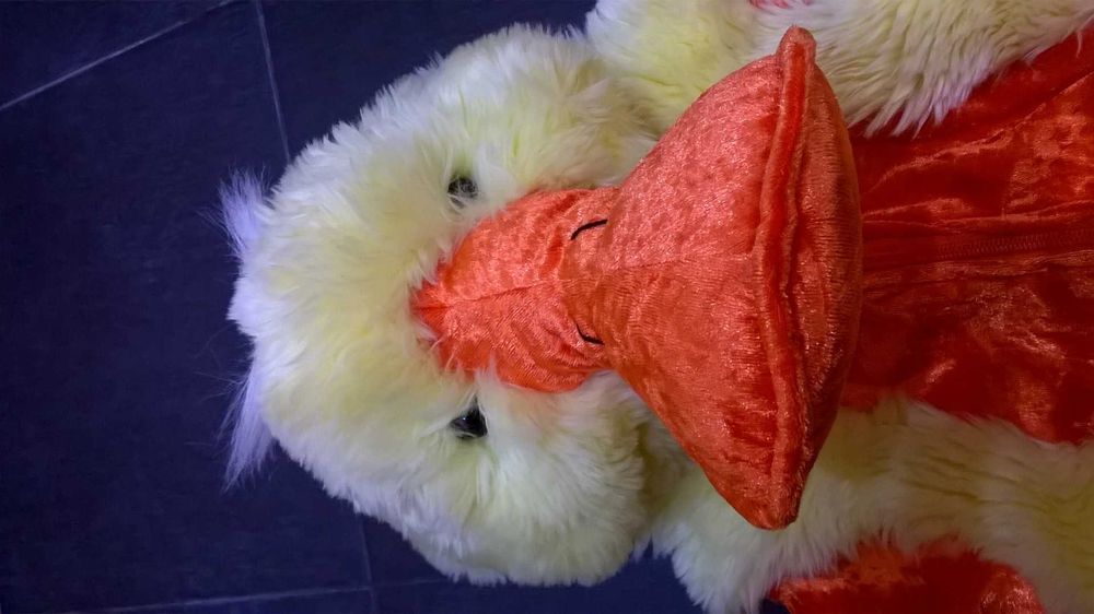 Fantasia de Carnaval bebé patinho