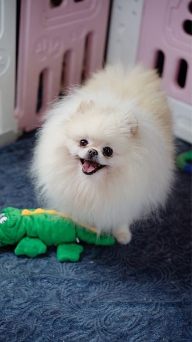 Piękna dziewczynka ra