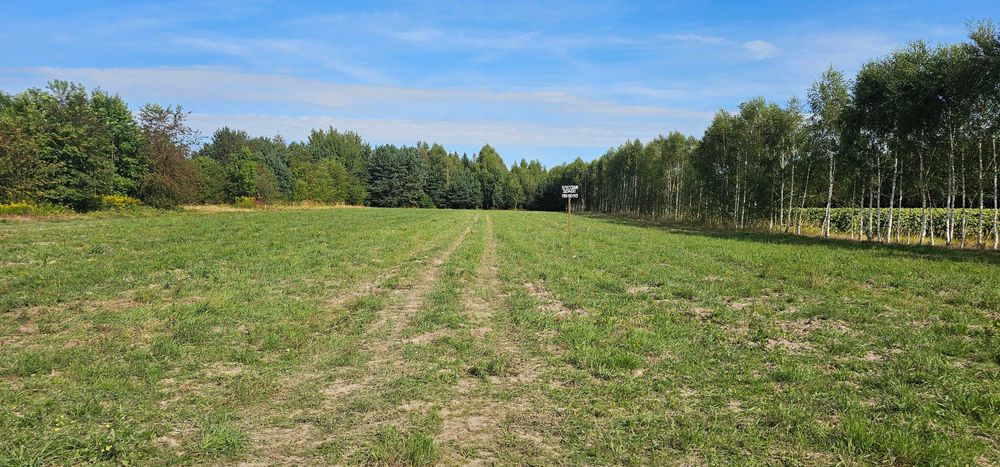 Działki budowlane Żytno