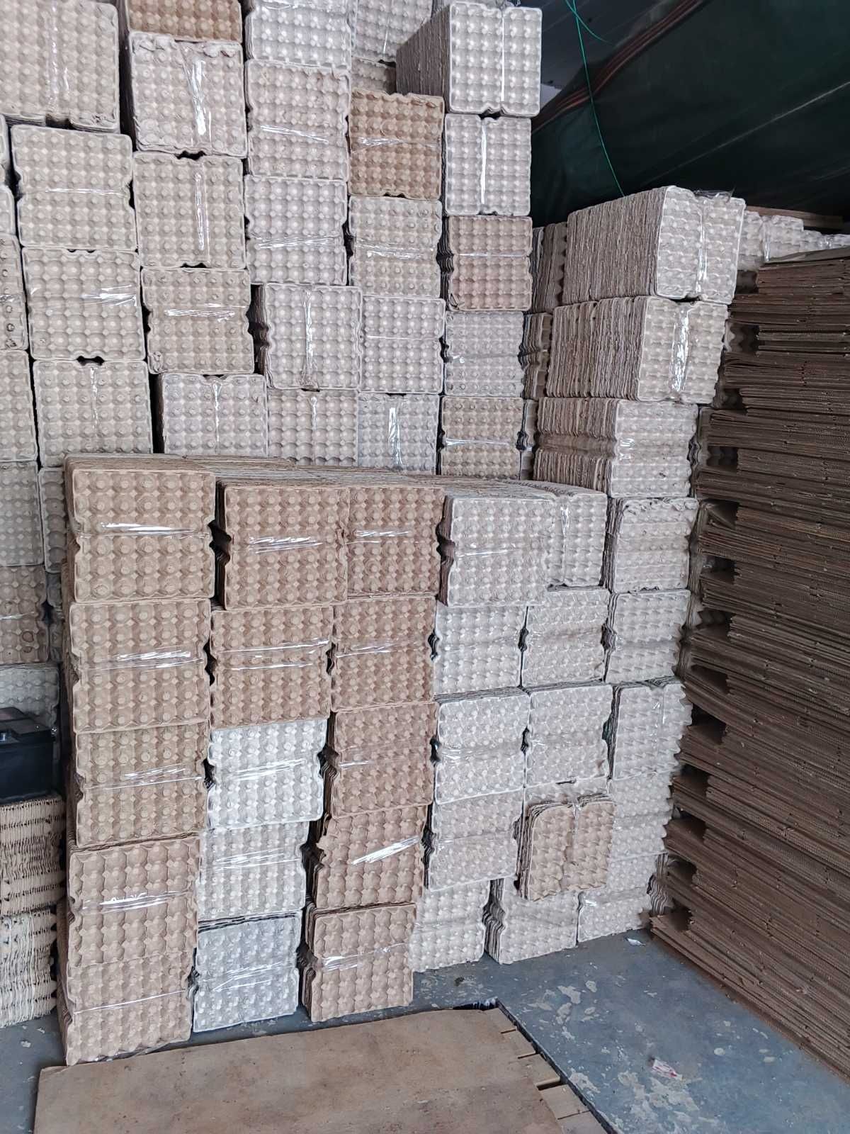лотки для яиц, ящики оптом продам  доставка