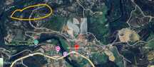 Eucaliptal Perto Do R.alva + 0,5Ha